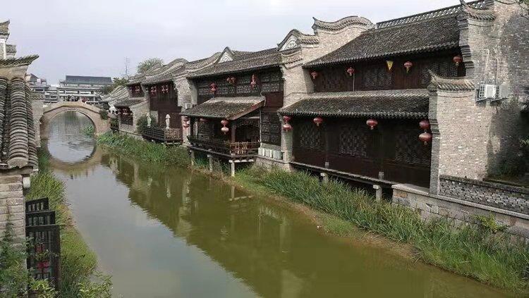 阴暗森林